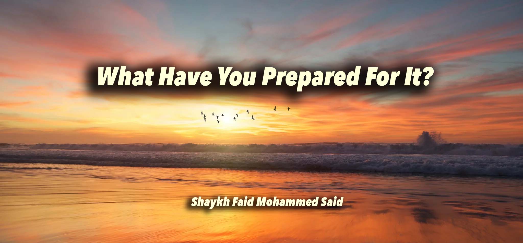 What have you prepared for it?